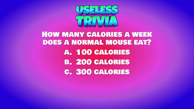 Useless Trivia Round Seven